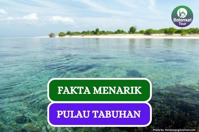 5 Fakta Menarik Tentang Keindahan Pulau Tabuhan